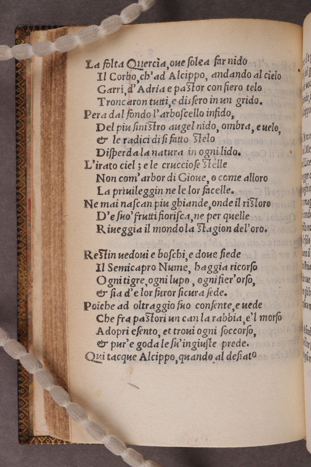 Folio 87 verso